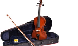 270-160-viool-inizio-set