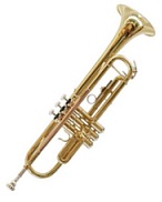Trompet  Purcel SDTR-4315 L - Specificaties: -  Bb trompet in gelakte uitvoering,  Y model  -  Goud kleurig  Hoogglans  -  Type: SDTR-4315   -  Monel ventielen  / - Trigger   /  - 2 waterkleppen  /  - Inclusief zwarte Gig Bag & Ventielolie - Garantie: 2 jaar 